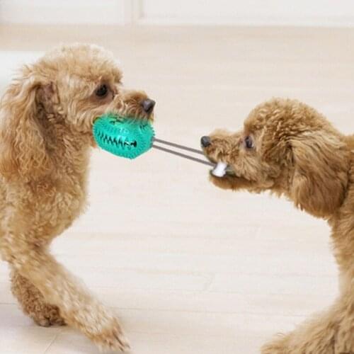 A 1Pcs Pet Dog Toys Extra-tough Rubber Toy Interactive Elasticity Ball Dog Chew Toys For Dog Tooth Cleaning Treat Ball