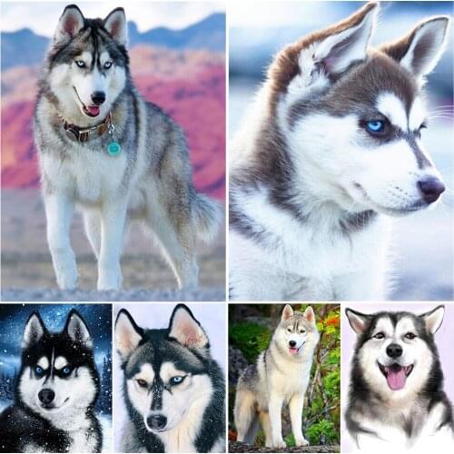 5D DIY Full Square/round Diamond Painting Animal Dog Embroidery Cross Stitch Kit Home Decoration Rhinestone Gift Mosaic Picture