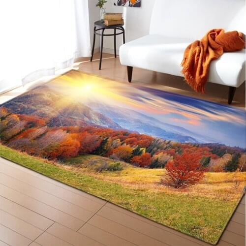 Nordic Style Parlor Living Room Carpet Kitchen Mat Flannel Anti-slip Sofa Area Rug 3D Scenery Home Decor Kids Play Bedroom Rug