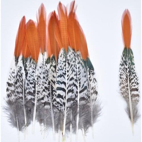 Natural Lady Amherst Pheasant feathers Feathers For Crafts 5-30CM 2-12 " Jewelry Making Accessories Wedding Decoration Plumes