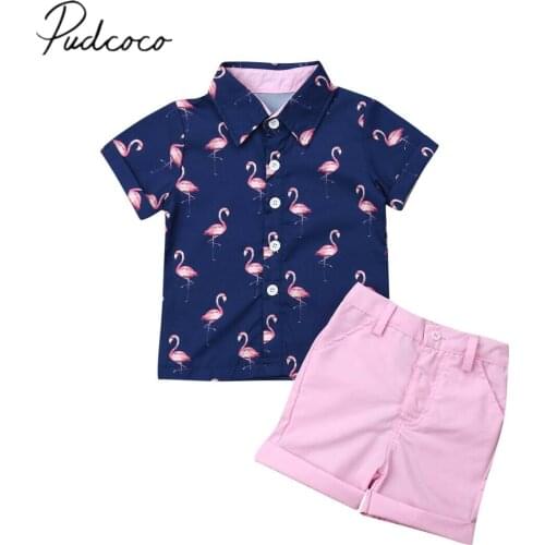 1-6T 2PCS Set Summer Clothing Baby Boy Flamingo Tops Kid T-shirt+Shorts Pants Toddler Outfits Children Short Sleeve Clothes