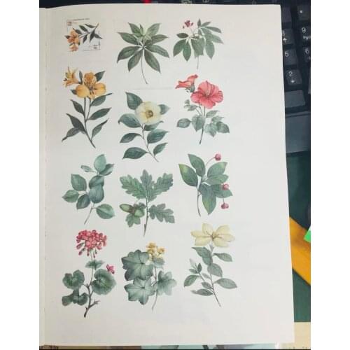 Vintage Green Leaves Washi Tapes Bullet Journal Masking Tape Adhesive Tape DIY Scrapbooking Washi Stickers