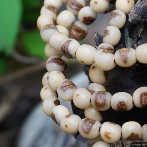 6mm * 108 * Natural Bodhi Seeds Beads Loose Mala Beads Japa MalaMala Prayer Bracelet or Necklace DIY Accessories