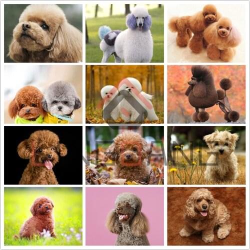 5D Diamond Embroidery Mosaic Animal Dog Poodle Diamond Painting Full Square Round Diamond Cross Stitch Cute Dog Kits Home Decor
