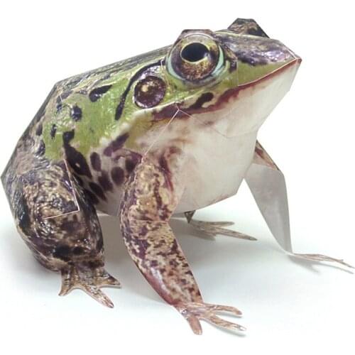 Dark-spotted Frog Paper Model Realistic Animal Mini Cute Folding Card 3D Papercraft DIY Kids Adult Handmade Craft Toys WE-034
