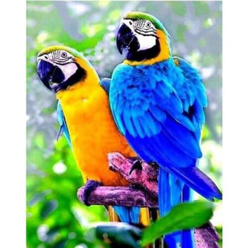 5D DIY Diamond Painting Square/Round Diamond Animal Painting Double Parrot Scene Picture Cross Stitch Embroidery Decor TX097