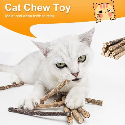 Natural Catnip Stick Cat Cleaning Teeth Molar Toothpaste Stick Silvervine Actinidia Fruit Cat Snacks Sticks Pet Cats Cleaning