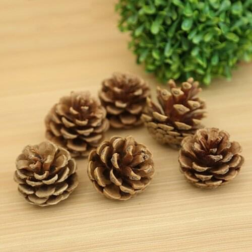 4Pcs Natural pine cones 2-3cm size quality pinecone florists crafts decorative