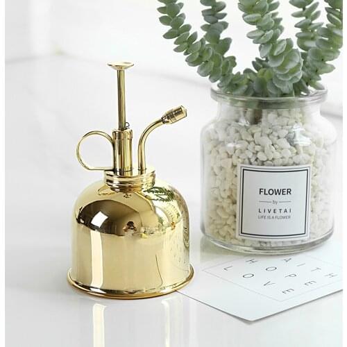 Nordic Style Vintage Mini Brass Watering Bottle Succulent Plants Flower Gardening Spraying Cans Sprayer Garden Tools Home Decor