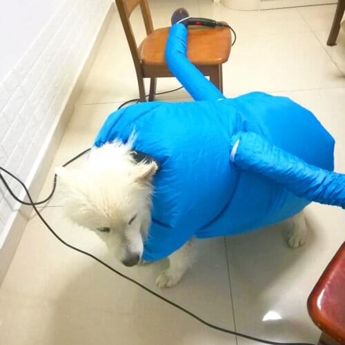 Flying Whales Clothes And Footwear For Dogs