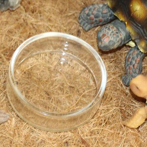 1PC Clear Glass Shrimp Feeding Food Dish Feeder Tray Round Aquarium Feeding Bowls Cheap Wholesale Dropshipping