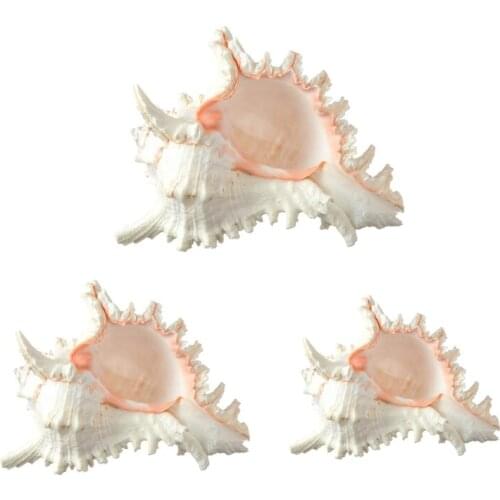 68UC Large Natural Conch Shell Seashell Aquarium Ornament DIY Fish Tank Wedding Decor