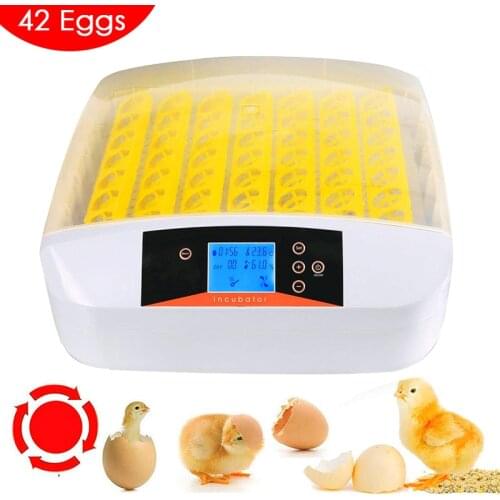 110V/220V 80W Large Automatic 42 Eggs Incubator Hatching Machine for Bird Chicken Auto Turner Hatcher with LED Light Tester Farm