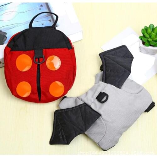 SFG HOUSE School Bags