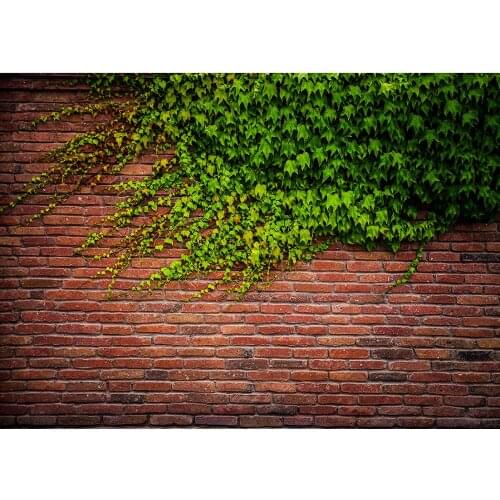 Brick Wall Green Leaves Photographic Backgrounds Custom Backdrop for Baby Children Pets Toy Portrait Photobooth Photo Studio