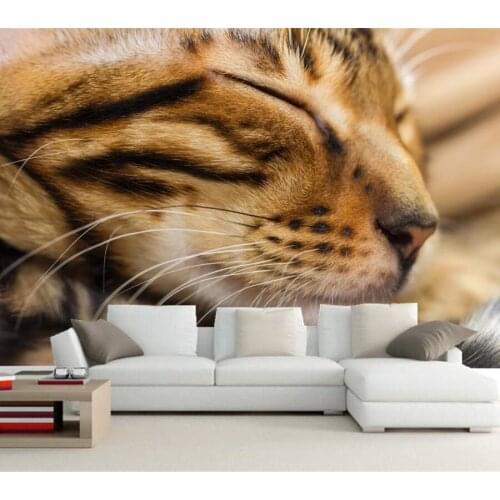 Custom wallpaper for walls 3d,Cats Snout Sleep Whiskers Animals wallpaper,living room sofa TV wall bedroom papel de parede