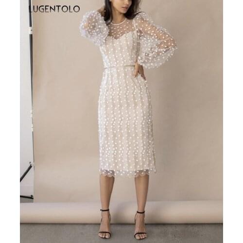 Party Dress Women Sexy Perspective Lace Dresses Embroidery Long Sleeve Spring O-neck Ladies Elegant Long Dress Lugentolo