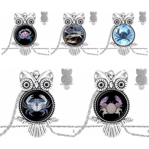 EJ Glaze For Men Women Design Fashion Vintage Glass Women Owl Necklace Pendants Ocean Crab