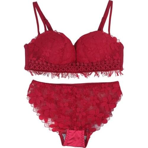 Sexy Lingerie Embroidery Bra Panty Set Female Brassiere Women Push Up Bra Brief Sets Underwear