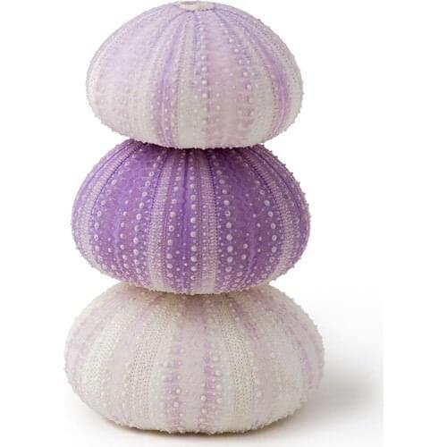 Turkuaz Hediyelik Christmas Goods