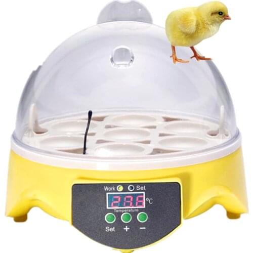 12v /110/220 automatic mini solar7 chicken egg incubator for sale