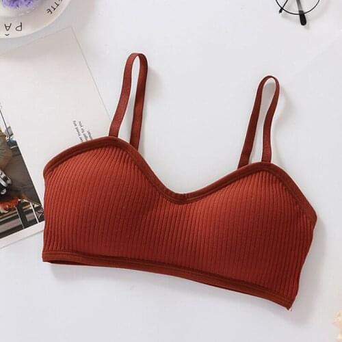 Sexy Cotton Bralette Wireless Bra Push Up Bras For Women Wire Free Bra Seamless Underwear Female Sexy Lingerie Brassiere