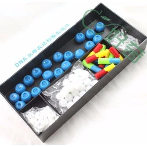 Free shipping plastic DNA structure model Atomic structure diagram laboratory equipment