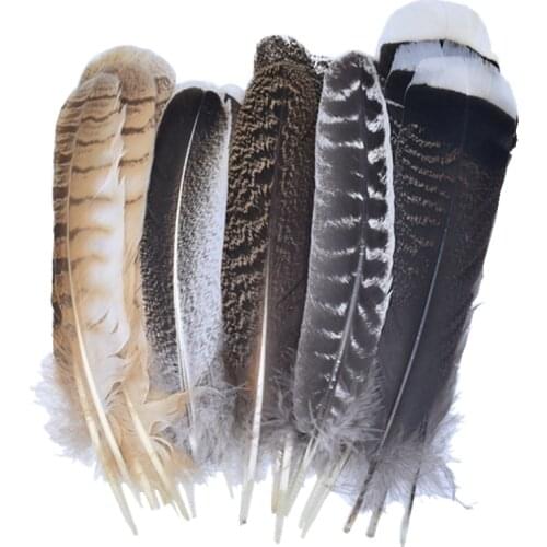 10Pcs/Lot Real Natural Eagle Feathers for Decoration Turkey Pheasant Crafts Carnival Party Accessories Feather Decor DIY Plumes