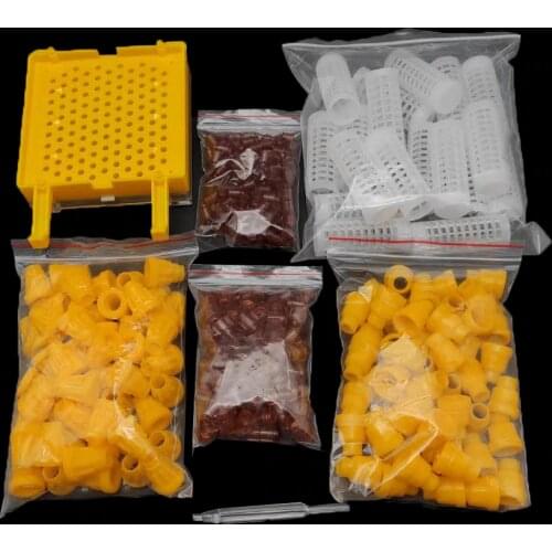 Complete Queen Rearing Kit Nicot Cell Base Protection Cover Tools Bee Queens System Larva Move Breeding Set Beekeeping Supplies