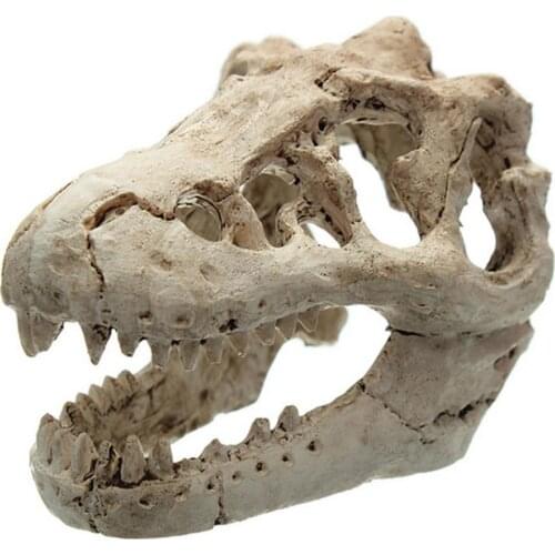 1 Pcs Dragon Resin Aquarium/Terrarium Decoration Crocodile Skull For Fish Tank Resin Ornament Decorate Your Aquarium
