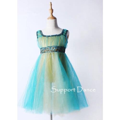 Support Dance Sleeveless Lace Ballet Tutu Dress Children Adult Modern Performance Costume C164