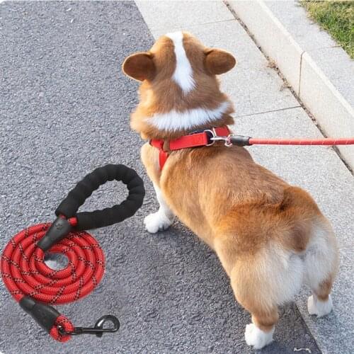 The joy of pets Leashes For Dogs