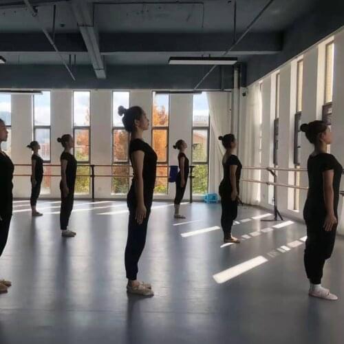 Beable Antislip Pvc Ballet Studio Contemporary Dance Hall Vinyl Floor