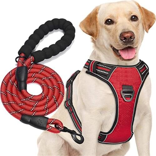 7 Colors 3 Sizes Dog Leash Running Walk Train For Large Small Cat Pets Leashes Dogs Leash Rope Nylon Tenacity