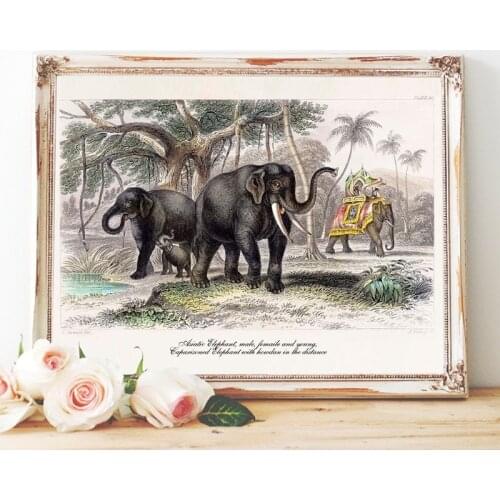 Vintage Elephant Print Indian Elephant Animal Nature History Artwork Poster Retro Wall Art Canvas Painting Picture Home Decor