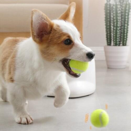 1/PCS Tennis Ball Dog Toys Chewing Rattle Scratch Cat Dog Toys Ball Cute Elastic Ball Interactive Dog Cat Toys Pet Toys