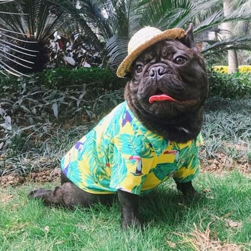 Summer Pet Printed Hawaii Beach Flower Shirt For Dogs Thin Short Sleeve Shirt Puppy Costume Cat Spring Clothing Pets Outfits