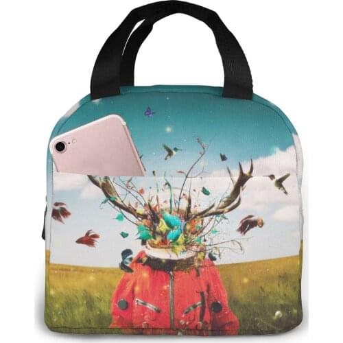 Astronaut Art Lunch Bag Waterproof Food Picnic Lunch Box Bag Insulated Women Cooler Bags Fresh Bento Food Pouch