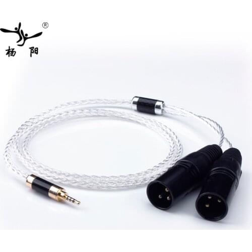 YYAUDIO Silver Plated Hifi 2.5mm TRRS Balanced to 2 XLR Male Cable For Astell&Kern AK100II,AK120II,AK240, AK380,AK320,DP-X1