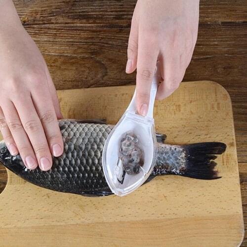 Kitchen Fish Scale Scraper Plastic Transparent Fish Skin Brush Fish Scale Peeler Fish Skin Brush Scraping Fish Scale Brush Tools