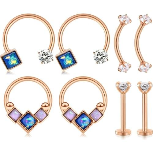 Body jewelryCartilage Rook Earrings Nose Rings Hoop Stainless Steel Eyebrow Rings Piercing Helix Daith Earrings Piercing Jewelr