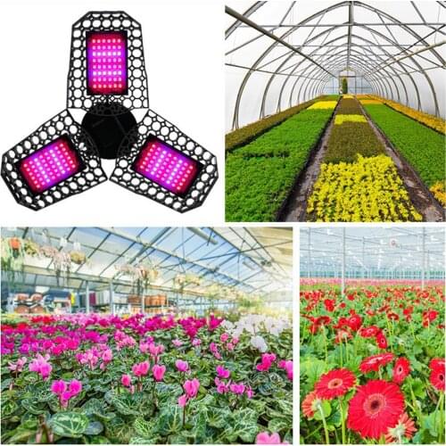 LED Grow Lights Indoor Plants Full Spectrum LED Growing Panel Lamp for Micro Greens Succulents Seedlings Flower Fruit Veg