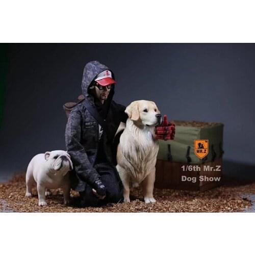 3 Colors Mr.Z 1/6 Scale Golden Retriever Animal Dog Model Toy for 12 inches Action Figure Accessories Collections