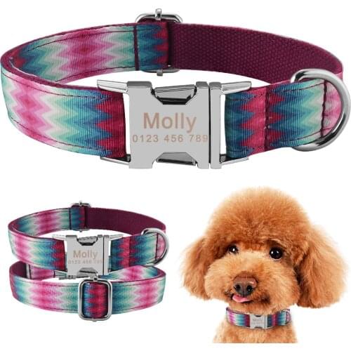 Personalized Dog Nylon Collar FREE Engraved Pet Name Small Medium XS