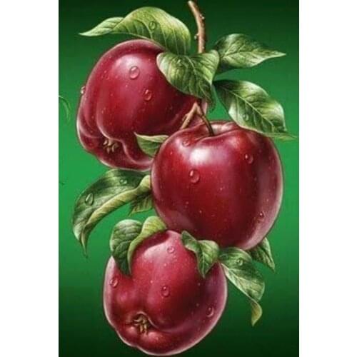 JMINE Div 5D Red fruit Apple Full Diamond Painting cross stitch kits art High Quality Scenic 3D paint by diamonds