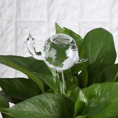 House Plants Flowers Water Feeder Automatic Self Watering Devices Clear Glass Water Feeder Snail Shape irrigation Sprinkler