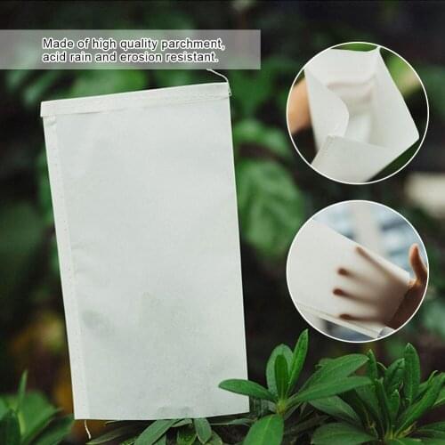100pcs 2 Size Garden Pollination Parchment Bags Isolation Protective Bags for Plant Flower