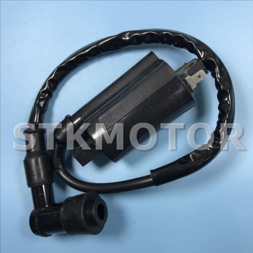 ATV Quad Motorcycle Ignition Coil FOR Yamaha VIRAGO 250 XV250 1995-2007 LH250 YP250 linhai 260cc 300cc ATV Parts