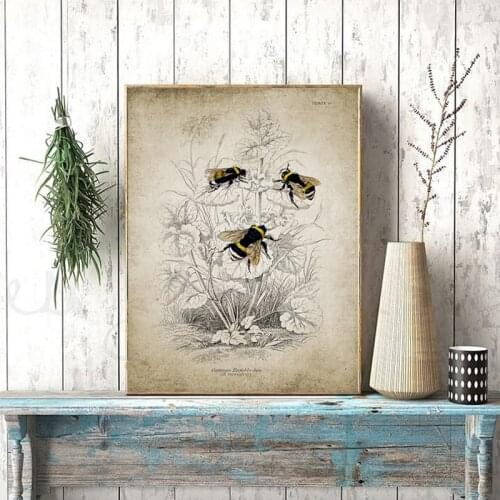 Vintage Bumble Bee Illustration Canvas Painting Posters Prints Bee Insect Farmhouse Country Retro Wall Art Pictures Home Decor