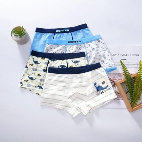 2 Pcs/Lot Organic Cotton Boys Underwear Dinosaur Baby Briefs Cartoon Children Shorts Kids Boxers Boy Teenage Panties 2-16Y Teen